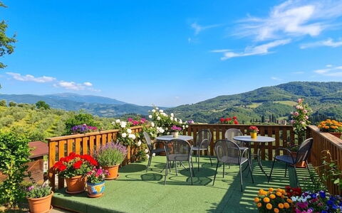 Geranio: Erba, Casa, Area Rurale, Villetta, Tetto, Casa, Paesaggio, Plain, Lotto
