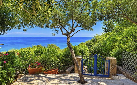 Porto Luna 1: Blu, Verde, Mare, Costiera E Morfologie Oceanic, Oceano, Costa, Tropici, Shade, Giardino, Riva