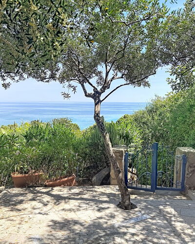 Porto Luna 1