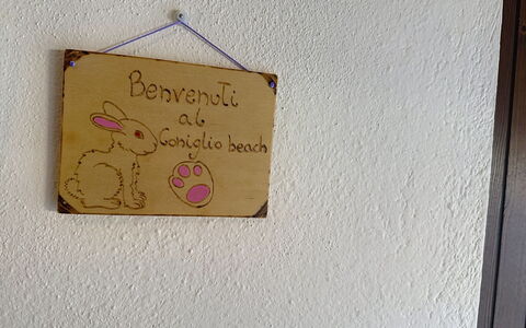 Coniglio Beach: Erba, Casa, Area Rurale, Villetta, Tetto, Casa, Paesaggio, Plain, Lotto