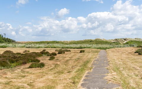 Enwald - 100M from the Sea: Cielo, Erba, Ambiente Naturale, Verde, Pascolo, Nube, Vegetazione, Ecoregione, Paesaggio Naturale, Plain