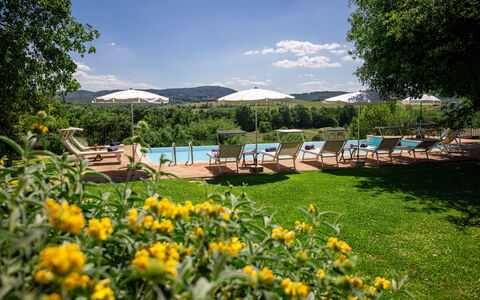 Villa Santa Barbara, Pool and Relax, Siena Country: Ricorrere, Mobili Da Esterno, Giardino, Piscina, Eco Hotel, Shade, Landscaping, Lettino, Estate, Piantagione