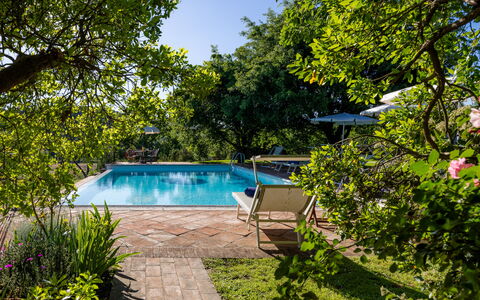 Villa Santa Barbara, Pool and Relax, Siena Country