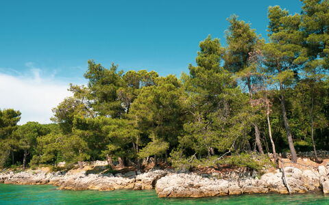 Krk Malinska 204: Piscina, Resort Citta ', Eco Hotel, Ricorrere, Villa