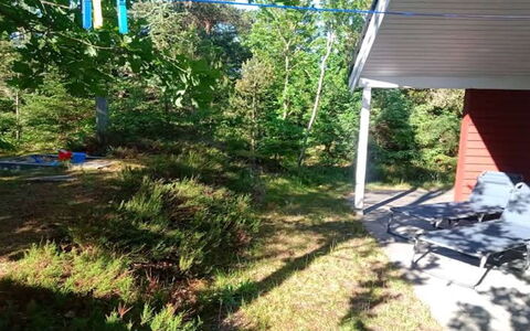 Ferdine - from the Sea: Giardino, Shade, Prato, Backyard, Cortile, Woodland, Landscaping, Parco, Edifici Giardino