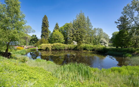 Coach House on Aigas Golf Course: Acqua, Verde, Risorse Idriche, Corpo D'Acqua, Albero, Natura, Ambiente Naturale, Paesaggio Naturale, Alveo, Vegetazione
