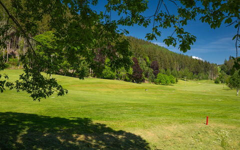 Coach House on Aigas Golf Course: Erba, Albero, Ambiente Naturale, Pascolo, Plain, Lotto, Prato, Pascolo, Prato