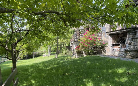 Il Cervo: Arbusto, Giardino, Area Rurale, Groundcover, Primavera, Prato, Villetta, Cortile, Backyard