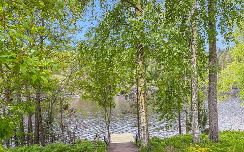Villa Kaidanjylhä: Verde, Foglia, Natura, Albero, Ambiente Naturale, Ramo, Vegetazione, Paesaggio Naturale, Estate