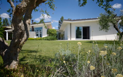Villa Mulberry Garden - Esclusiva con Piscina Priv: Casa, Arbusto, Zona Residenziale, Lotto, Prato, Estate, Giardino, Villetta, Shade, Landscaping