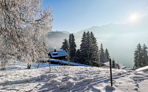 Chalet le Cornuit: Neve, Inverno, Albero, Geografia Montane, Natura, Ramo, Montagna, Catena Montuosa, Paesaggio, Hill Station