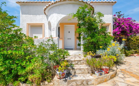 Bougainvillea: Arbusto, Giardino, Landscaping, Hacienda, Flagstone, Pianta Della Casa, Vaso Di Fiori, Villa