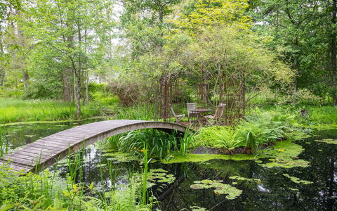 Lövekulle: Verde, Ambiente Naturale, Paesaggio Naturale, Vegetazione, Arbusto, Comunita 'Impianto, Giardino, Banca, Alveo