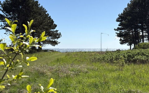 Stasia - 50M from the Sea