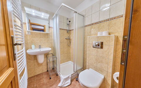 Penzion Exnar: Pavimentazione, Interior Design, Pavimento, Camera, Idraulico Fixture, Idraulico, Specchio, Lavello, Rubinetto, Hotel