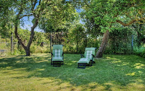 Aaro - 275M from the Sea: Verde, Erba, Mobilia, Arbusto, Giardino, Lotto, Prato, Shade, Mobili Da Esterno