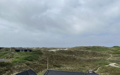 Nyyrikki - 350M from the Sea: Terreno, Lotto, Fell, Shrubland, Chaparral, Steppa, Trail