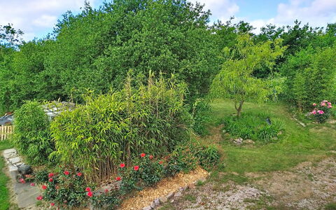 L'Ancienne Ferme: Vegetazione, Arbusto, Giardino, Comunita 'Impianto, Lotto, Groundcover, Woody Impianto, Landscaping
