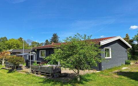 Arise - 1.5Km from the Sea: Erba, Casa, Arbusto, Zona Residenziale, Casa, Villetta, Tetto, Lotto, Groundcover