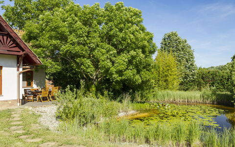 Villa Canela: Verde, Arbusto, Giardino, Villetta, Area Rurale, Primavera, Prato, Prato, Agriturismo