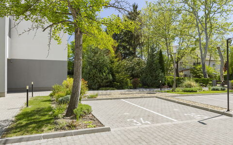 Gárdonyi Garden: Arbusto, Spazio Pubblico, Groundcover, Marciapiede, Giardino, Flagstone, Woody Impianto, Driveway, Passerella