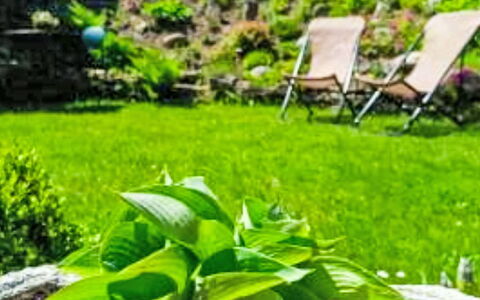 Herlíkovice: Verde, Roccia, Giardino, Arbusto, Paesaggio, Groundcover, Prato, Landscaping, Backyard, Cortile