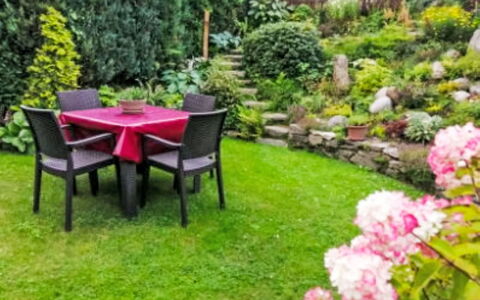 Herlíkovice: Giardino, Arbusto, Prato, Groundcover, Backyard, Cortile, Landscaping, Mobili Da Esterno, Cortile, Terrazza
