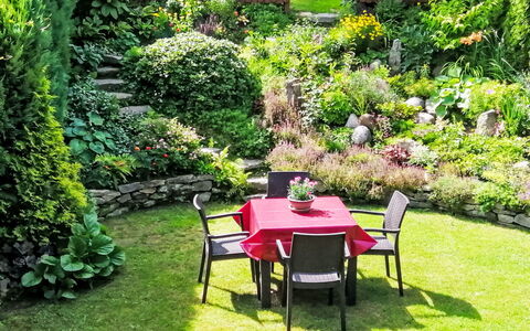 Herlíkovice: Verde, Giardino, Arbusto, Comunita 'Impianto, Groundcover, Backyard, Landscaping, Prato, Cortile