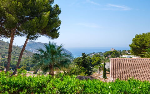 Blake: Albero, Foglia, Vegetazione, Mare, Woody Impianto, Costa, Oceano, Giardino, Tropici