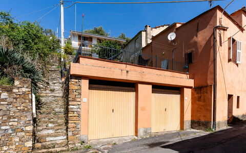 Paolina: Interior Design, Appartamento, Balcone, Latifoglie, Color Legno, Pavimento In Legno, Corrimano, Illuminazione Diurna, Hotel, Attico