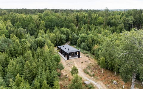 Paradiset 2: Albero, Foresta, Comunita 'Impianto, Woodland, Boschetto, Larice, Boschi Di Conifere Tropicali E Subtropicali