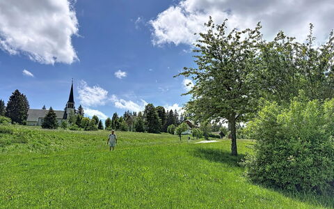 Sonne: Blu, Verde, Erba, Albero, Ambiente Naturale, Foglia, Pascolo, Nube, Vegetazione, Estate