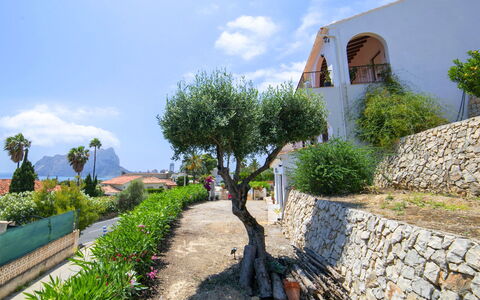 Pinarmar: Ricorrere, Piscina, Estate, Shade, Landscaping, Eco Hotel, Hotel, Villa