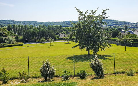 Les Ducs de Normandie: Cielo, Blu, Albero, Verde, Erba, Natura, Ambiente Naturale, Foglia, Ramo, Vegetazione