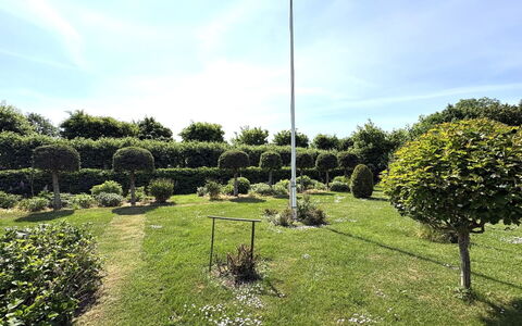 Velena - 150M from the Sea: Erba, Arbusto, Giardino, Hedge, Prato, Pole, Woody Impianto, Landscaping, Parco