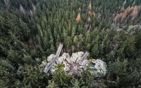 Rokytnice Nad Jizerou 2: Foresta, Larice, Boschi Di Conifere Tropicali E Subtropicali, Giungla, Sempreverde, Woodland