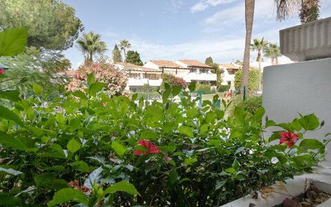 Ca Maestral: Fiore, Arbusto, Giardino, Pianta Fiorita, Landscaping, Backyard