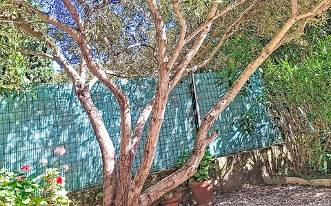 Villa le Cédre 17: Interior Design, Pavimentazione, Pavimento, Soffitto, Appartamento, Shade, Sedia, Lampada, Lampada, Pianta Della Casa