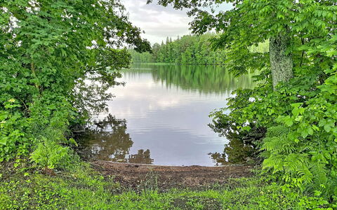 Sjöarpstugan: Acqua, Corpo D'Acqua, Natura, Ambiente Naturale, Paesaggio Naturale, Vegetazione, Banca, Alveo, Comunita 'Impianto