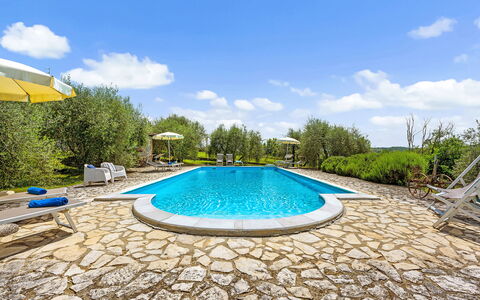 San Sano Retreat, Chianti Vineyard Views & Diving: Blu, Piscina, Ricorrere, Mobili Da Esterno, Giardino, Eco Hotel, Landscaping, Estate, Shade, Villa