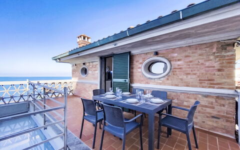 Cecina 570: Pavimento, Balcone, Sedia, Color Legno, Ricorrere, Deck, Latifoglie, Mobili Da Esterno, Shade, Piscina