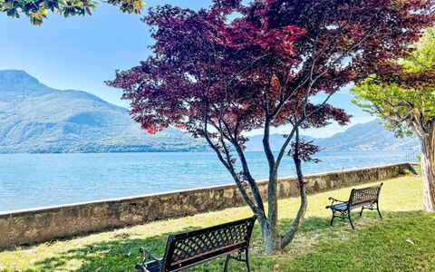 Cà Pendula: Natura, Foglia, Ramo, Paesaggio, Tronco, Primavera, Mattina, Costa, Parco