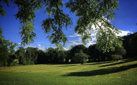 Villa Veneta - Historic Villa in the Prosecco Hill: Blu, Erba, Foglia, Giorno, Verde, Natura, Albero, Ramo, Ambiente Naturale, Vegetazione