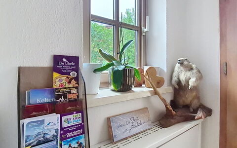 Boutique Appartement Tauernblick: Interior Design, Mobilia, Scaffalature, Camera, Mensola, Pianta Della Casa, Vaso Di Fiori, Cornice