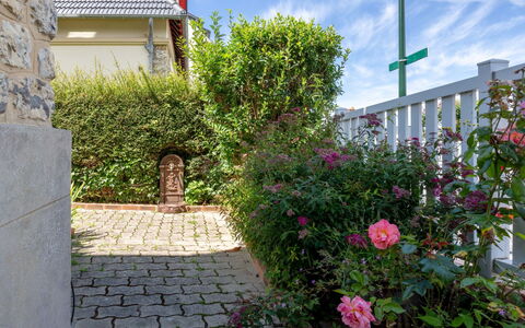 Villerville: Fiore, Arbusto, Giardino, Landscaping, Cortile, Rose Di Famiglia, Backyard, Passerella