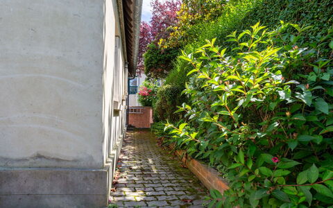 Villerville: Verde, Arbusto, Primavera, Groundcover, Giardino, Brick, Passerella, Landscaping, Marciapiede