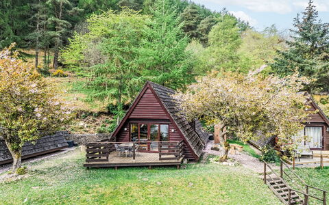Glengarry Combi: Legna, Villetta, Area Rurale, Log Cabin, Giardino, Capanna, Edifici Giardino, Latifoglie, Cortile, Parco