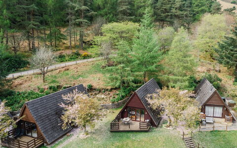 Glengarry Combi: Area Rurale, Villetta, Giardino, Log Cabin, Capanna, Latifoglie, Cortile, Parco, Landscaping, Edifici Giardino