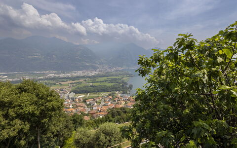 Ortigara Terrace View: Geografia Montane, Montagna, Verde, Collina, Vegetazione, Paesaggio Naturale, Highland, Paesaggio, Catena Montuosa, Hill Station