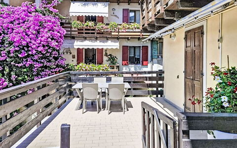 Edera: Fiore, Balcone, Fiorai, Pianta Della Casa, Hotel